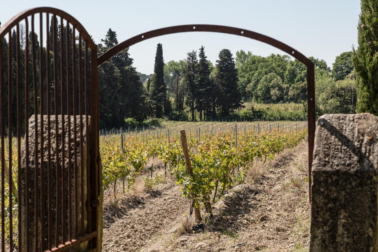Chateau Des Cinq Cantons Carpentras Buitenkant foto